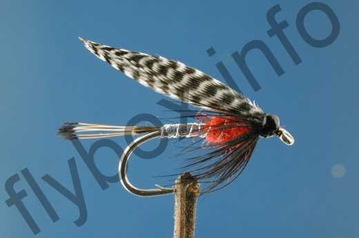 Fish4Flies Peter Ross